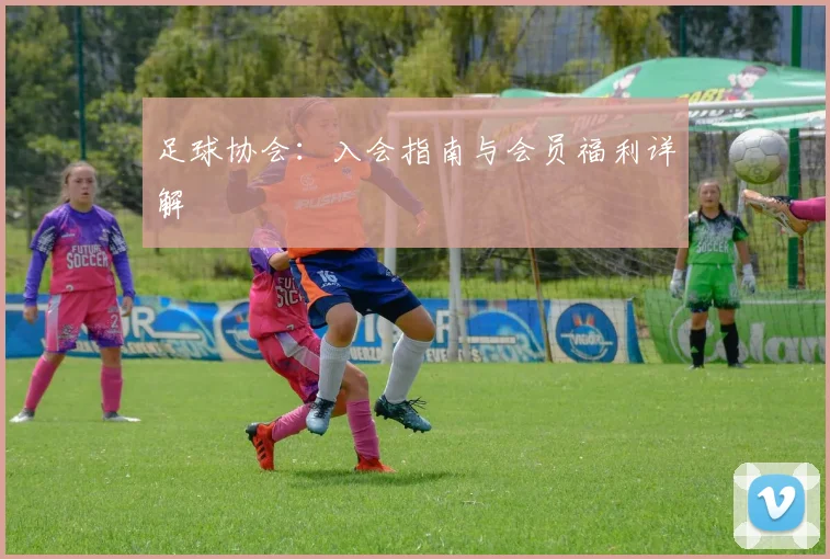 足球协会：入会指南与会员福利详解